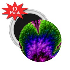 Amazing Special Fractal 25c 2 25  Magnets (10 Pack)  by Fractalworld