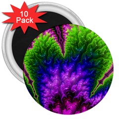 Amazing Special Fractal 25c 3  Magnets (10 Pack) 