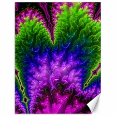 Amazing Special Fractal 25c Canvas 18  X 24  