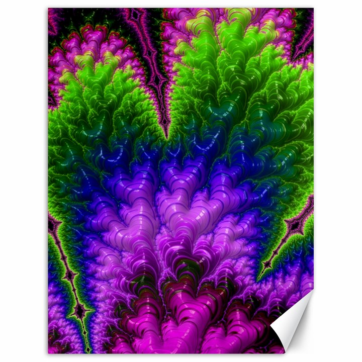 Amazing Special Fractal 25c Canvas 18  x 24  