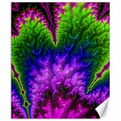 Amazing Special Fractal 25c Canvas 20  X 24  