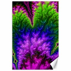 Amazing Special Fractal 25c Canvas 20  X 30  