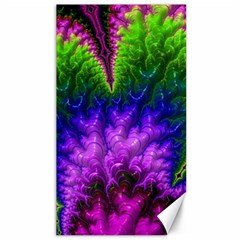 Amazing Special Fractal 25c Canvas 40  X 72   by Fractalworld