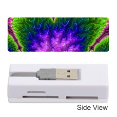 Amazing Special Fractal 25c Memory Card Reader (stick) 