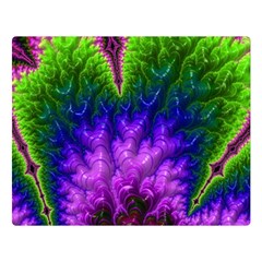 Amazing Special Fractal 25c Double Sided Flano Blanket (large) 