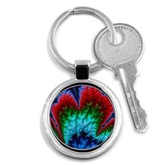 Amazing Special Fractal 25b Key Chains (round) 