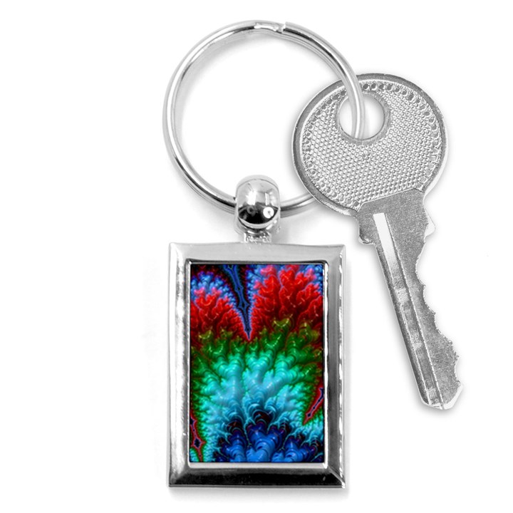 Amazing Special Fractal 25b Key Chains (Rectangle) 