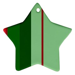 Green And Red Design Star Ornament (two Sides)  by Valentinaart