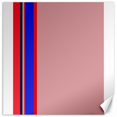 Pink elegant lines Canvas 20  x 20  