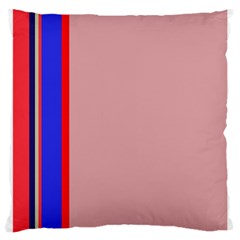 Pink elegant lines Large Cushion Case (Two Sides)