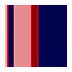 Pink and blue lines Medium Glasses Cloth (2-Side)