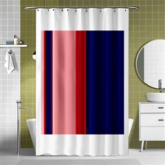 Pink and blue lines Shower Curtain 48  x 72  (Small) 