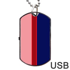 Pink and blue lines Dog Tag USB Flash (One Side)