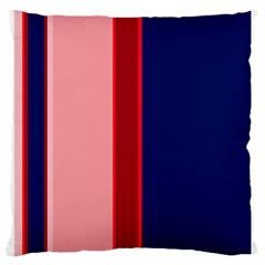 Pink And Blue Lines Large Cushion Case (two Sides) by Valentinaart