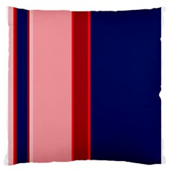 Pink And Blue Lines Large Flano Cushion Case (one Side) by Valentinaart