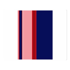 Pink and blue lines Double Sided Flano Blanket (Large) 