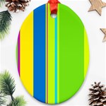 Colorful lines Oval Ornament (Two Sides) Back