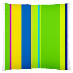 Colorful Lines Standard Flano Cushion Case (two Sides) by Valentinaart