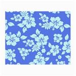 Hawaiian Sky Small Glasses Cloth Front