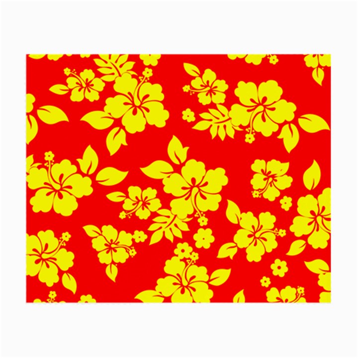 Hawaiian Sunshine Small Glasses Cloth