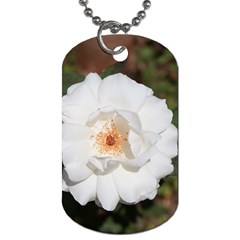 White Petal Dog Tag (two Sides)