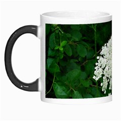 Beetle And Flower Morph Mugs by randolpheckel