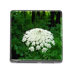 Beetle And Flower Memory Card Reader (square)