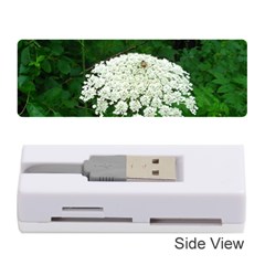 Beetle And Flower Memory Card Reader (stick)  by randolpheckel