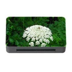 Beetle And Flower Memory Card Reader With Cf by randolpheckel