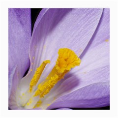 Purple Crocus Glasses Cloth (medium) by PhotoThisxyz