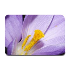 Purple Crocus Table Mats