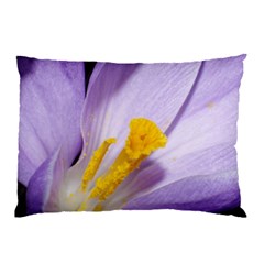 Purple Croucs Pillow Case