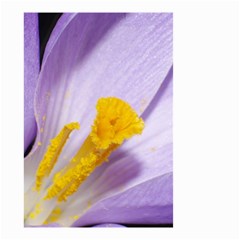 Crocus Closeupl Small Garden Flag (two Sides)