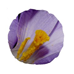 Crocus Closeupl Standard 15  Premium Round Cushions