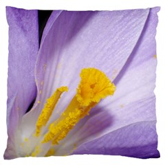 Purple Crocus Large Flano Cushion Case (two Sides)