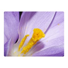 Crocus Closeupl Double Sided Flano Blanket (mini) 