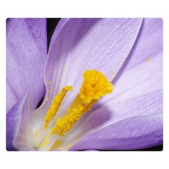 Crocus Closeupl Double Sided Flano Blanket (small) 