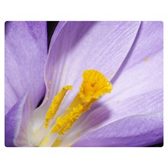 Crocus Closeupl Double Sided Flano Blanket (medium) 