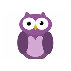 Purple Transparetn Owl Double Sided Flano Blanket (mini) 