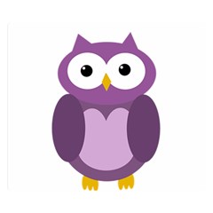 Purple Transparetn Owl Double Sided Flano Blanket (small) 