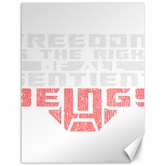 Freedom Is The Right Grunge Canvas 12  X 16   by justinwhitdesigns