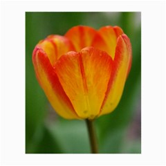 Orange Tulip Glasses Cloth (small 2-side)