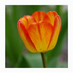 Orange Tulip Glasses Cloth (medium 2-side) by PhotoThisxyz