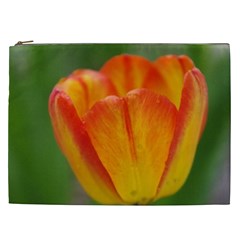 Orange Tulip M Cosmetic Bag (xxl)  by PhotoThisxyz