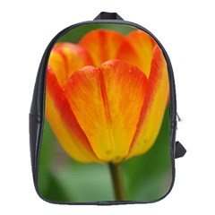 Orange Tulip M School Bags (xl) 