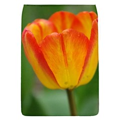 Orange Tulip M Flap Covers (s) 