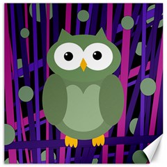 Green and purple owl Canvas 20  x 20  