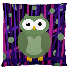 Green And Purple Owl Large Flano Cushion Case (one Side) by Valentinaart