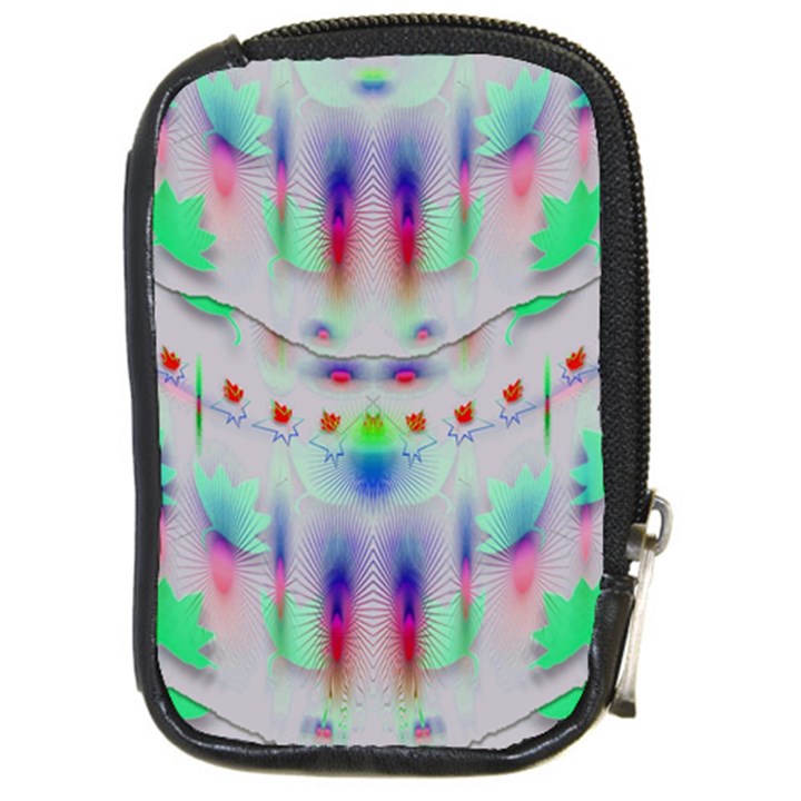 Rainbows In The Moonshine Compact Camera Cases