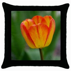 Orange Tulip Throw Pillow Case (black) by PhotoThisxyz